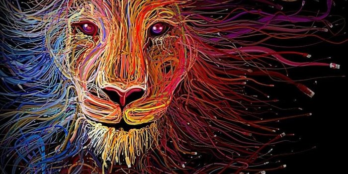 1080x1920 68+ Colorful Lion Wallpapers on WallpaperPlay