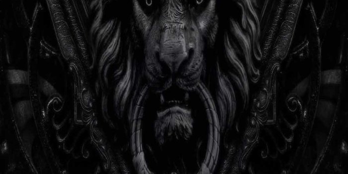 1080x1920 Lion iPhone Wallpapers - Top Free Lion iPhone Backgrounds