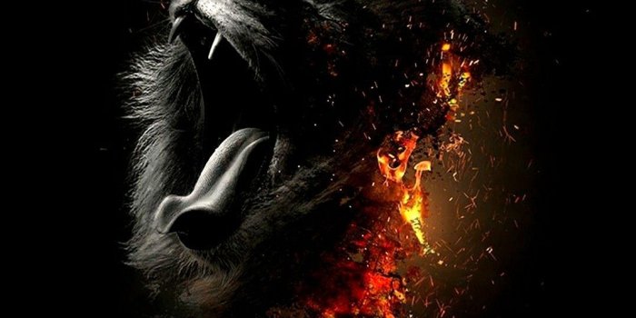 1076x1916 jai Krishna on animals | Lion wallpaper, Lion wallpaper