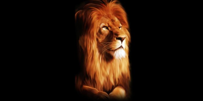 1920x1080 Group Of Black 3d Lion Wallpapers - Tapeta Na Pulpit Lew (#105352