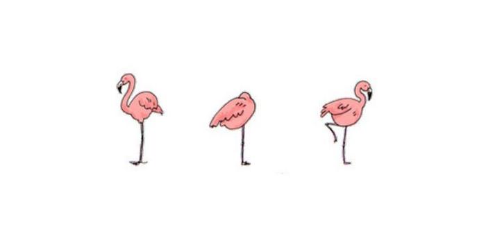 744x1392 cute simple flamingo wallpaper | Wallpaper | Flamingo wallpaper