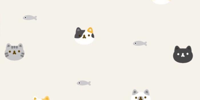 1080x1920 Cute Phone Backgrounds - Cute Simple Phone Backgrounds (#56734) - HD