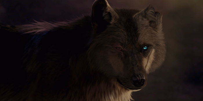 2560x1440 Battle scarred warrior HD Wallpaper | Background Image | 2560x1440