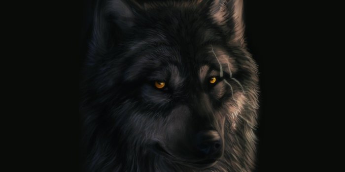 1920x1200 Scars Wallpapers