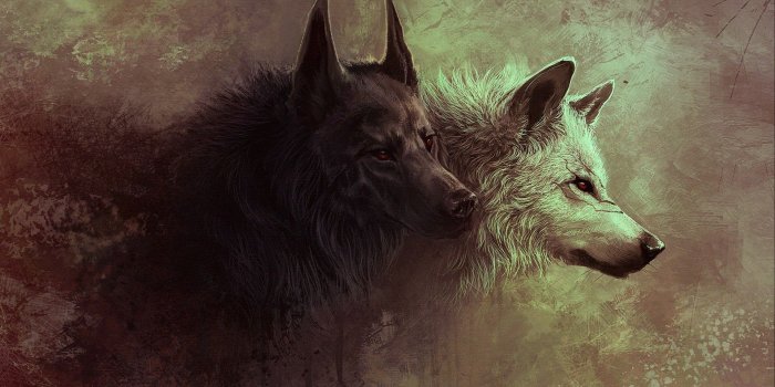 1920x1200 Red eyes, wolves, scar wallpapers and images - wallpapers, pictures