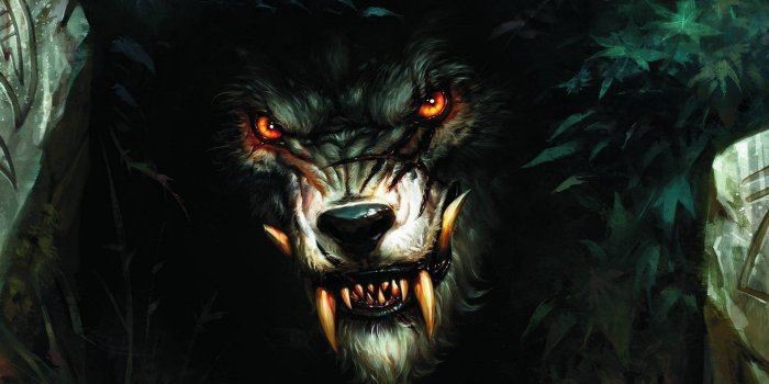 1920x1200 Epic Wolf Wallpapers - Top Free Epic Wolf Backgrounds - WallpaperAccess