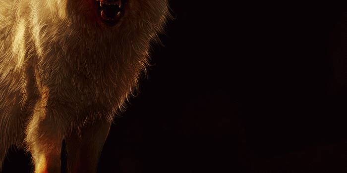 1440x2960 Download 1440x2960 White Wolf, Predator, Fantasy Creature, Scars