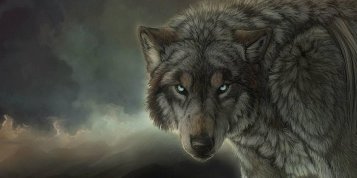 1920x1080 35+ Grey Wolf Art Wallpapers - Download at WallpaperBro