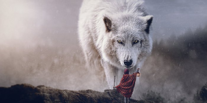 4969x3648 Black wolf near mountain digital wallpaper, wolf, scars, digital art