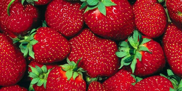 1024x768 Free download Strawberry Wallpaper Fruit Wallpaper 6102247 [1024x768