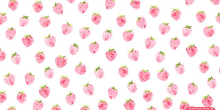 1504x828 Cute Strawberry Wallpapers