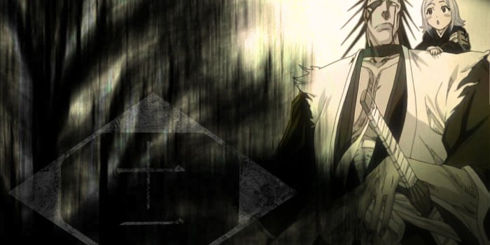 1920x1080 ZARAKI KENPACHI BANKAI wallpaper | 1920x1080 | 558412 | WallpaperUP