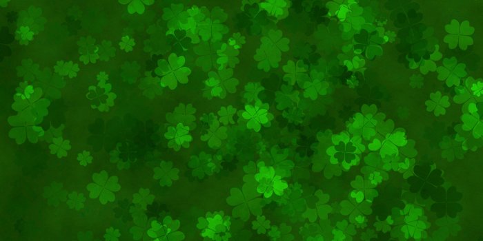 2880x1800 Clovers wallpaper - Holiday wallpapers - #28270