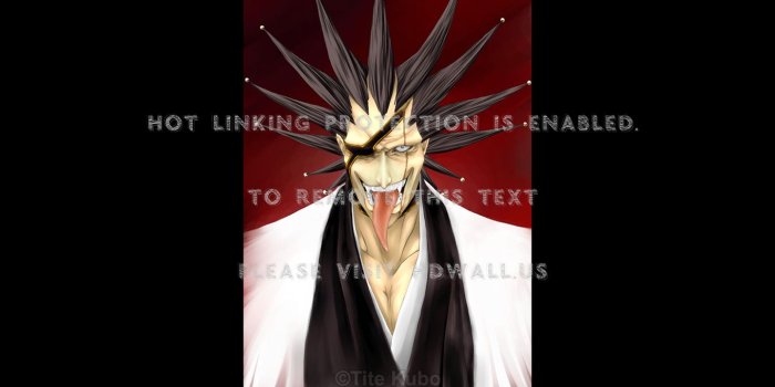 1440x900 bleach zaraki kenpachi