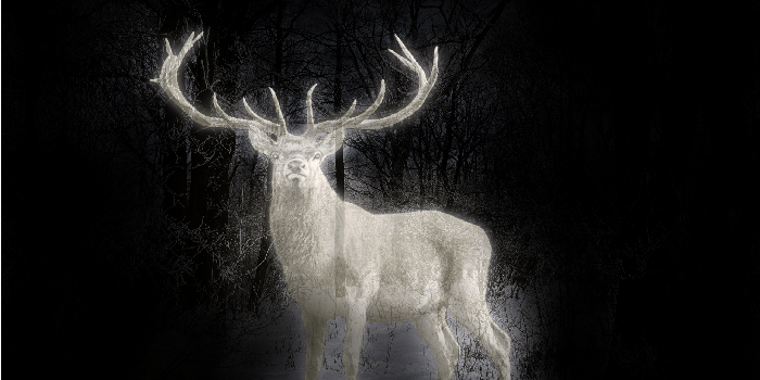 2560x1877 Best 57+ Patronus Wallpaper on HipWallpaper | Patronus Harry Potter