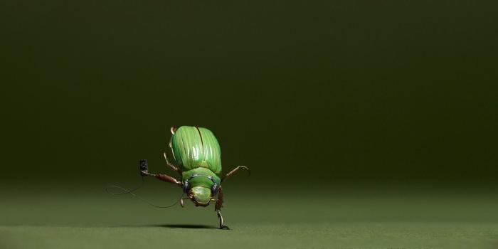 1920x1080 Funny Animal Wallpaper #7015215