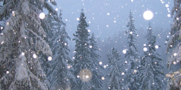 1600x900 Snowflakes Falling Wallpaper #6870867