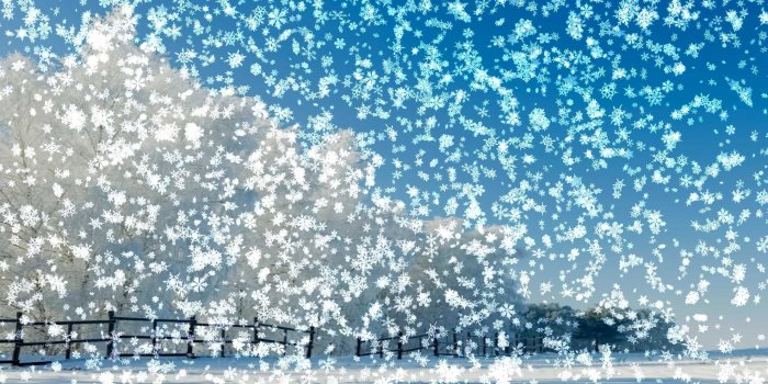 2560x1440 54+ Live Snow Wallpapers on WallpaperPlay