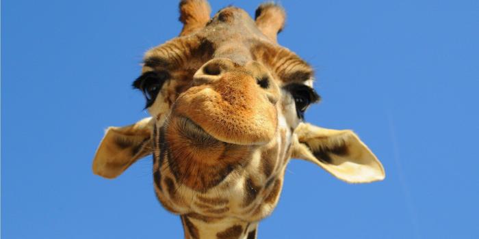 1920x1080 Weird Wallpapers Iphone 5 - wallpaper strange funny weird crazy