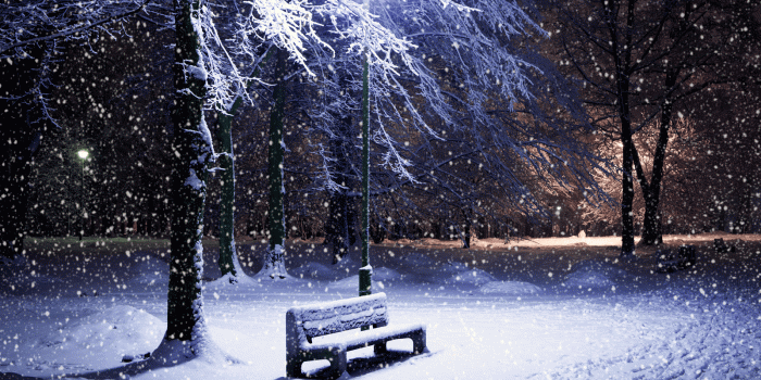 1600x1200 Real Snow Falling HD Wallpaper, Background Images