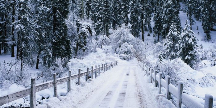 1600x900 Snow Falling [1600x900] : wallpaper