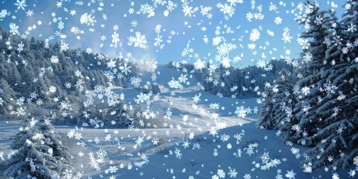3840x2160 30+ Snow Falling Live Wallpapers - Download at WallpaperBro
