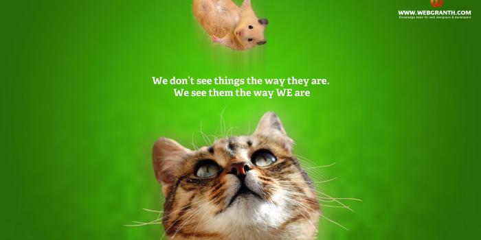 1920x1080 Funny Animal Wallpaper Hd - (46+) Group Wallpapers