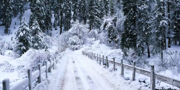 1920x1080 Snow Falling #Wallpaper - HD Wallpapers