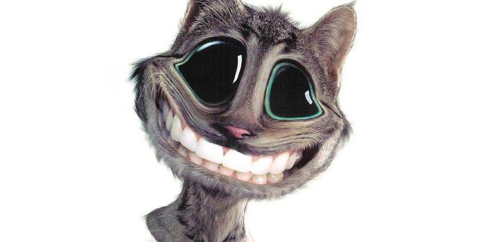 1600x1200 Funny Animals Wallpapers 3D Funny Animals Desktop Wallpapers 3D