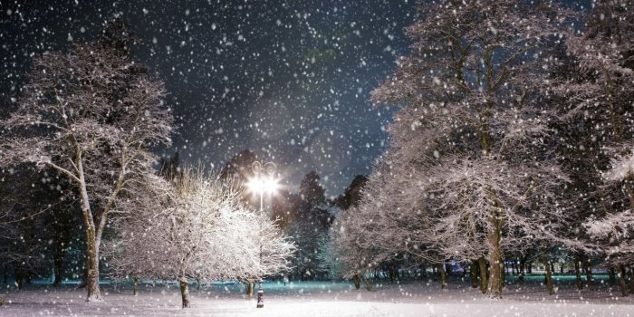 1366x768 Beautiful snow falling wallpapers Gallery