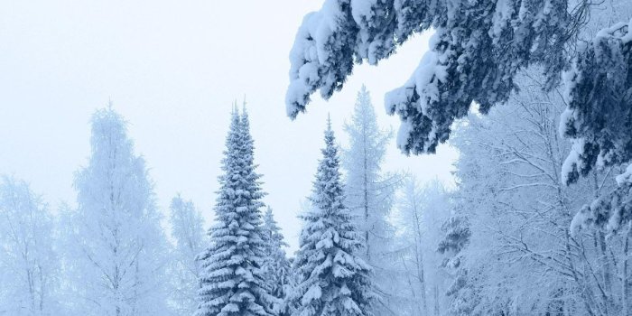 1200x900 50+] Live Falling Snow Desktop Wallpaper on WallpaperSafari