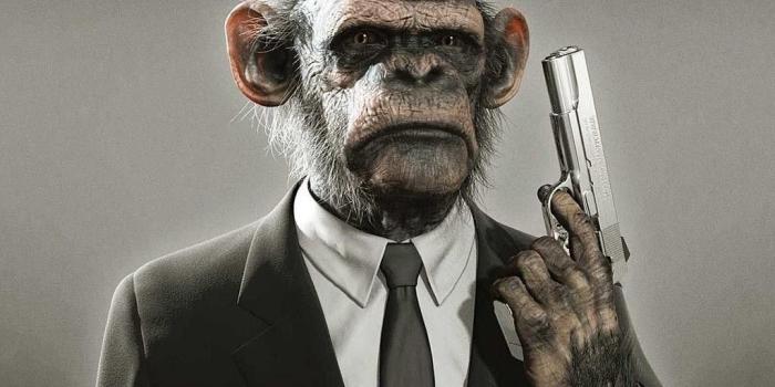 1024x795 Cute and Funny animals wallpapers