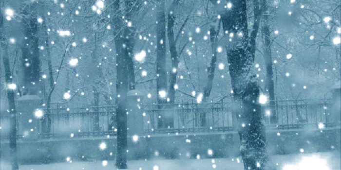 1024x768 Snow falling backgrounds Gallery