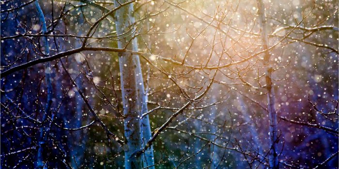 1920x1200 Real Snow Falling HD Wallpaper, Background Images
