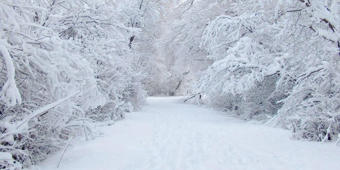 1920x1080 Snow Hd Wallpaper (36+ images) on Genchi.info