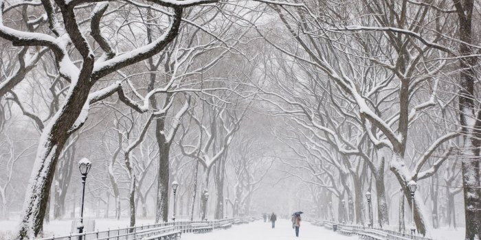 1920x1080 Snow Falling HD Wallpapers | Backgrounds