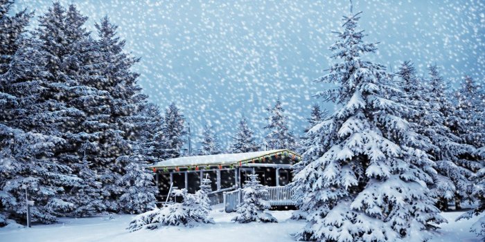 1440x900 Snow Falling on House in Forest Wallpaper and Background Image