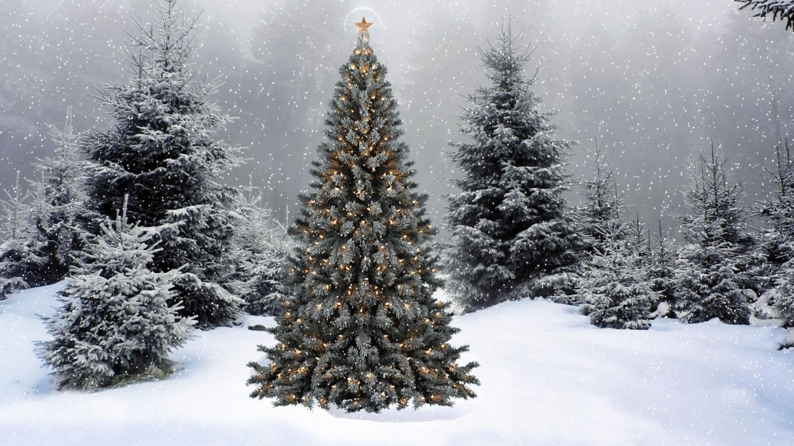 1920x1080 Snow falling on the Christmas tree wallpaper - Holiday wallpapers