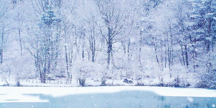 1024x768 Free Snow Falling Wallpaper on MarkInternational.info