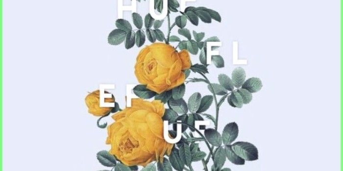 746x1319 Wallpaper Iphone Aesthetic - I am a true hufflepuff | walppr | Harry