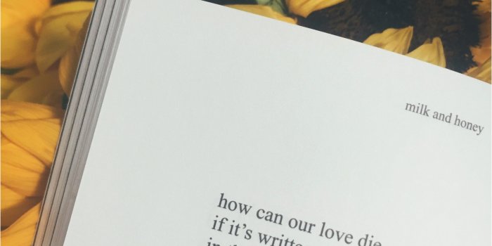 2448x3264 Hufflepuff Wallpaper Beautiful Iphone Wallpaper Tumblr - Her