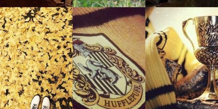 891x1280 hufflepuff wallpaper Tumblr posts - Tumbral.com