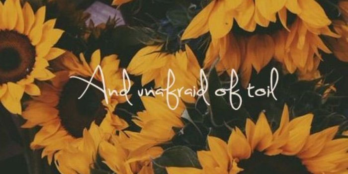 1368x855 Hufflepuff wallpaper tumblr