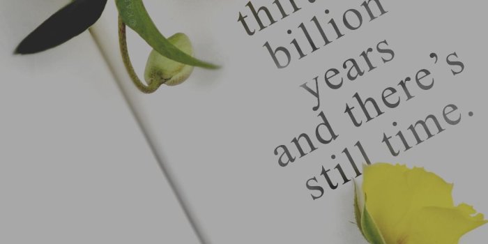 1080x1920 kaespo — lockscreens no. 409 thank you to everyone who sent...