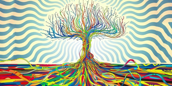 1920x1080 Trippy Colorful Tree HD Wallpapers Desktop Background