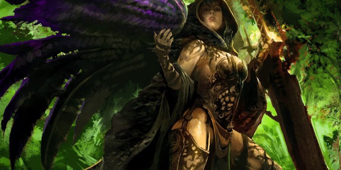 2560x1600 1416260 2560x1600 computer wallpaper for guild wars 2 | Video Game