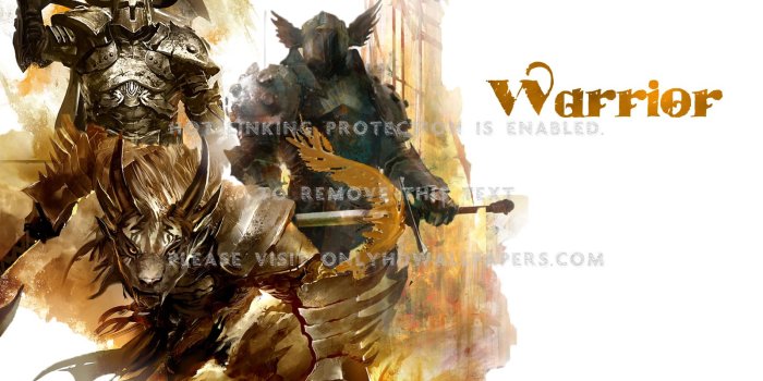 1600x900 Warriors guild wars 2
