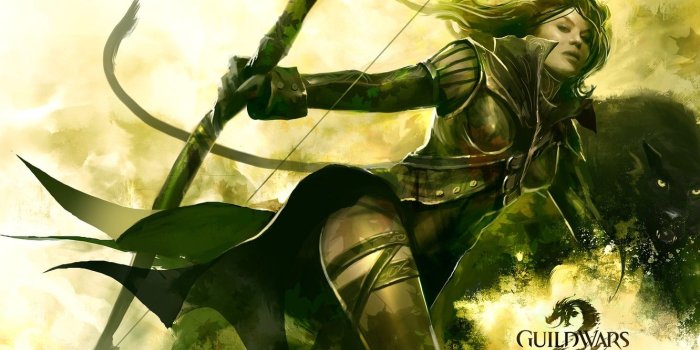 1332x850 Wallpaper girl, Panther, warrior, bow, Guild Wars 2, Archer, string