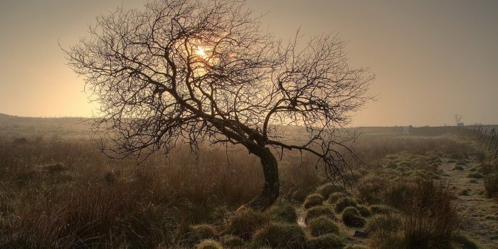 1920x1200 Oasis Wallpaper Iphone 5 Gorgeous Desert Mountain Oasis Wallpaper
