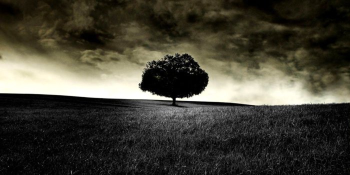 1456x950 Dark Nature Wallpaper Background | Top Wallpapers